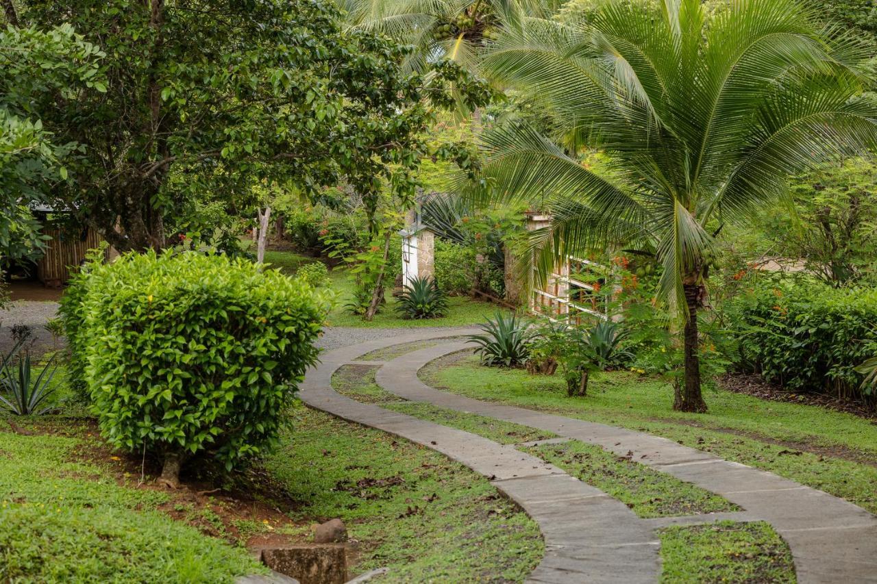 Salvatierra Beachfront Hotel Puerto Coyote Luaran gambar